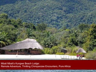 Mbali Mbali’s Kungwe Beach Lodge:  Remote Adventure, Thrilling Chimpanzee Encounters, Pure Africa 