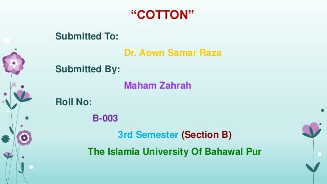 Production Technology Of Cotton Crop By Maham Zahrah From Iub