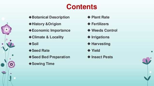 Production Technology Of Cotton Crop By Maham Zahrah From Iub