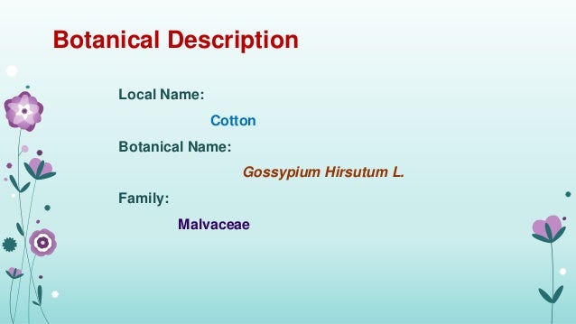 Production Technology Of Cotton Crop By Maham Zahrah From Iub