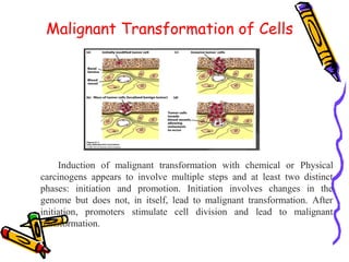 Tumor immunology | PPT
