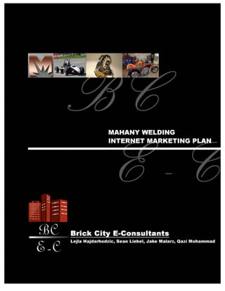 Mahany Internet Makreting Plan Brick City E Consultants