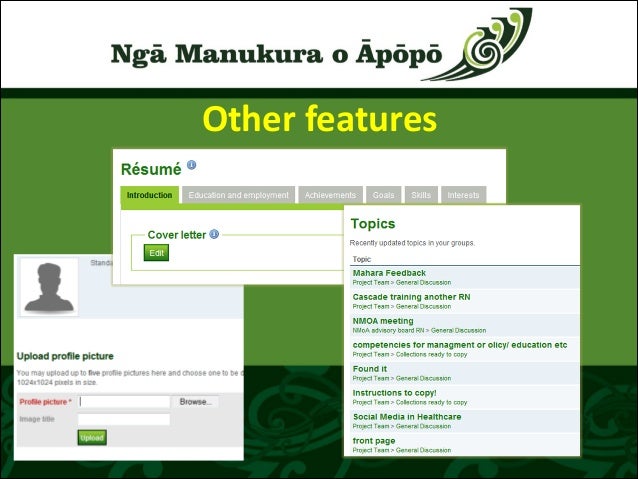 programme power n requirement for system a professional nursing ePortfolio, for tailored