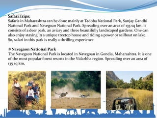 Safari Trips:
Safaris in Maharashtra can be done mainly at Tadoba National Park, Sanjay Gandhi
National Park and Navegoan National Park. Spreading over an area of 135 sq km, it
consists of a deer park, an aviary and three beautifully landscaped gardens. One can
also enjoy staying in a unique treetop house and riding a power or sailboat on lake.
So, safari in this park is really a thrilling experience.
Navegaon National Park
The Navegaon National Park is located in Navegoan in Gondia, Maharashtra. It is one
of the most popular forest resorts in the Vidarbha region. Spreading over an area of
135 sq km,
 