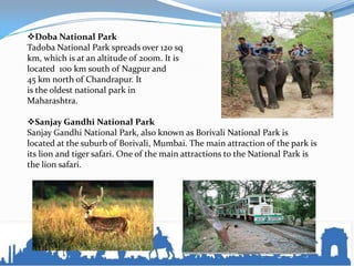 Doba National Park
Tadoba National Park spreads over 120 sq
km, which is at an altitude of 200m. It is
located 100 km south of Nagpur and
45 km north of Chandrapur. It
is the oldest national park in
Maharashtra.
Sanjay Gandhi National Park
Sanjay Gandhi National Park, also known as Borivali National Park is
located at the suburb of Borivali, Mumbai. The main attraction of the park is
its lion and tiger safari. One of the main attractions to the National Park is
the lion safari.
 