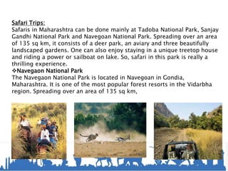 Safari Trips:
Safaris in Maharashtra can be done mainly at Tadoba National Park, Sanjay
Gandhi National Park and Navegoan National Park. Spreading over an area
of 135 sq km, it consists of a deer park, an aviary and three beautifully
landscaped gardens. One can also enjoy staying in a unique treetop house
and riding a power or sailboat on lake. So, safari in this park is really a
thrilling experience.
Navegaon National Park
The Navegaon National Park is located in Navegoan in Gondia,
Maharashtra. It is one of the most popular forest resorts in the Vidarbha
region. Spreading over an area of 135 sq km,
 