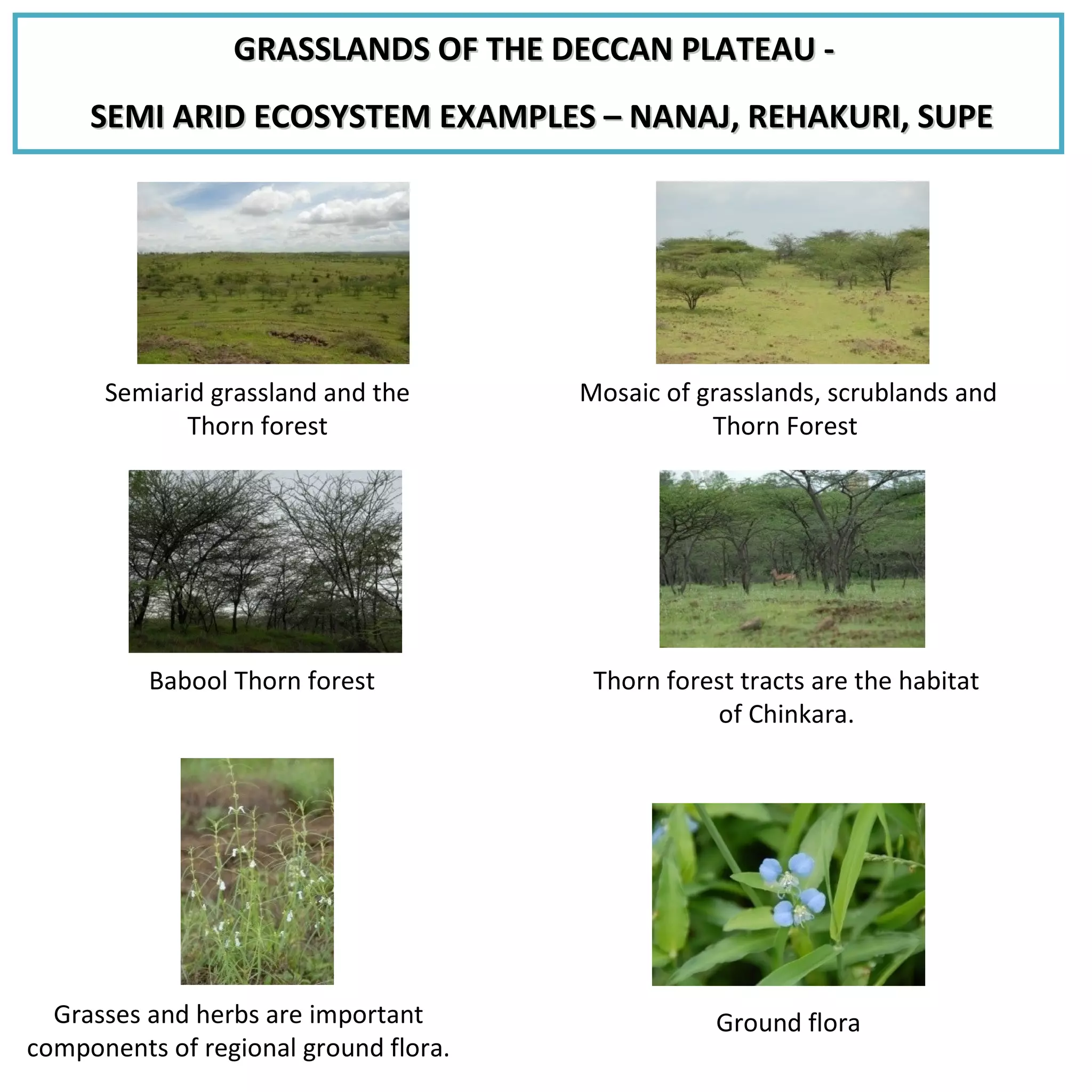 Maharashtra at a glance | PPT