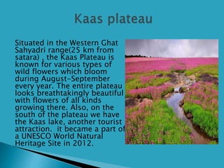  Situated in the Western Ghat
Sahyadri range(25 km from
satara) , the Kaas Plateau is
known for various types of
wild flowers which bloom
during August-September
every year. The entire plateau
looks breathtakingly beautiful
with flowers of all kinds
growing there. Also, on the
south of the plateau we have
the Kaas lake, another tourist
attraction. it became a part of
a UNESCO World Natural
Heritage Site in 2012.
 