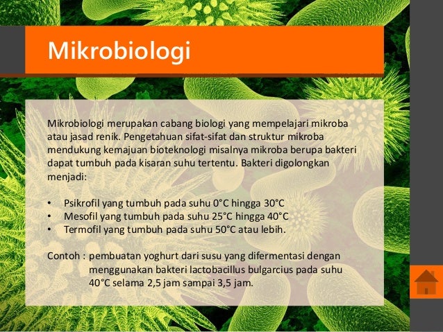 Bioteknologi