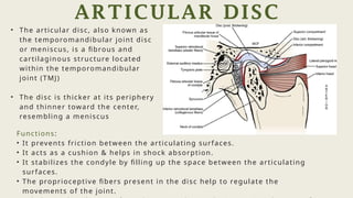 Comprehensive Overview of Temporomandibular Joint Anatomy, Disorders ...