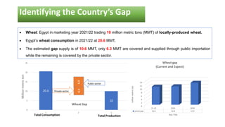 20.6
10
0
5
10
15
20
25
1 2 3
Million
metric
ton
Wheat Gap
6.3
4.3
Total Consumption Total Production
Private sector
Public sector
 Wheat: Egypt in marketing year 2021/22 trading 10 million metric tons (MMT) of locally-produced wheat.
 Egypt’s wheat consumption in 2021/22 at 20.6 MMT,
 The estimated gap supply is of 10.6 MMT, only 6.3 MMT are covered and supplied through public importation
while the remaining is covered by the private sector.
Identifying the Country’s Gap
0
2
4
6
8
10
12
14
21-22 2025 2030
wheat gap 10.6 10.8 12.9
million
metric
ton
Axis Title
Wheat gap
(Current and Expect)
 