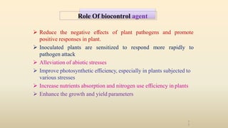  Reduce the negative effects of plant pathogens and promote
positive responses in plant.
 Inoculated plants are sensitized to respond more rapidly to
pathogen attack
 Alleviation of abiotic stresses
 Improve photosynthetic efficiency, especially in plants subjected to
various stresses
 Increase nutrients absorption and nitrogen use efficiency in plants
 Enhance the growth and yield parameters
Role Of biocontrol agent
1
3
 