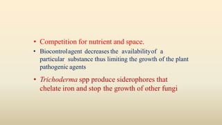 • Competition for nutrient and space.
• Biocontrolagent decreases the availabilityof a
particular substance thus limiting the growth of the plant
pathogenic agents
• Trichoderma spp produce siderophores that
chelate iron and stop the growth of other fungi
 