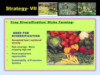 Non Risk Crops Examples Good Agriculture Practices | PPT