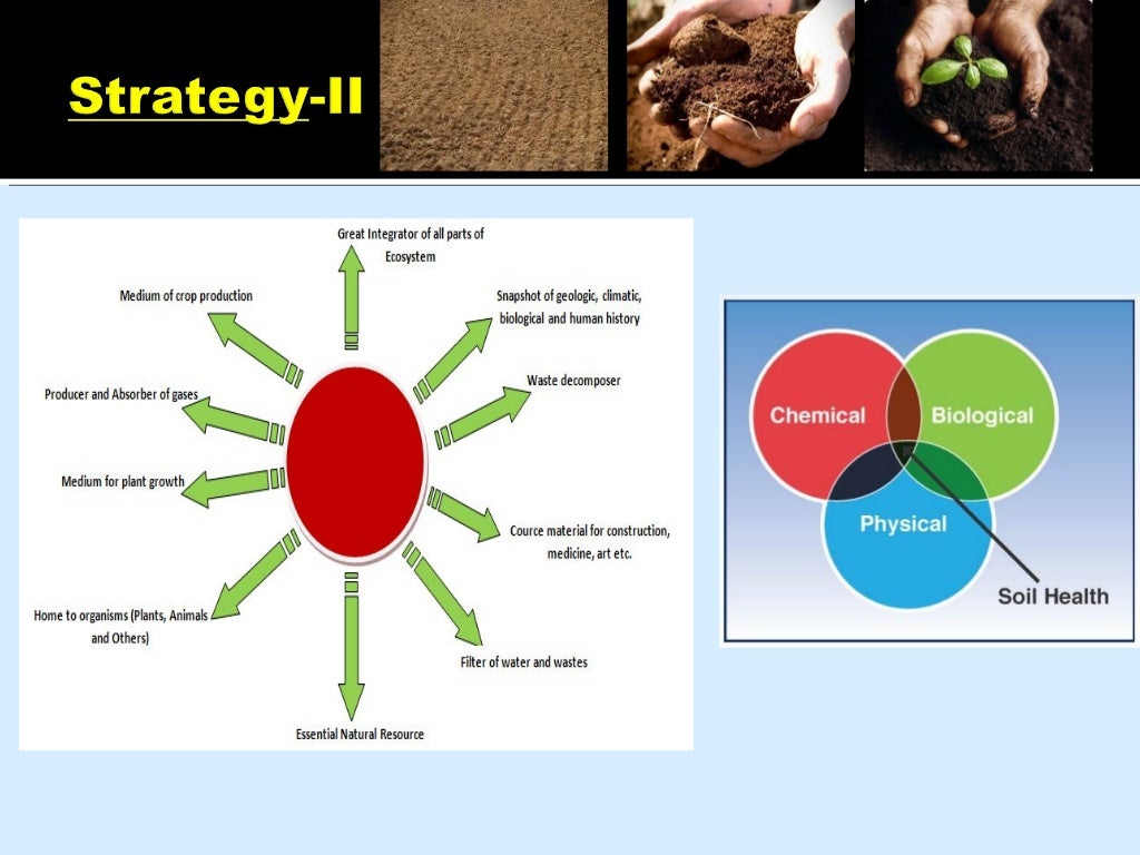 Good Agriculture Practices