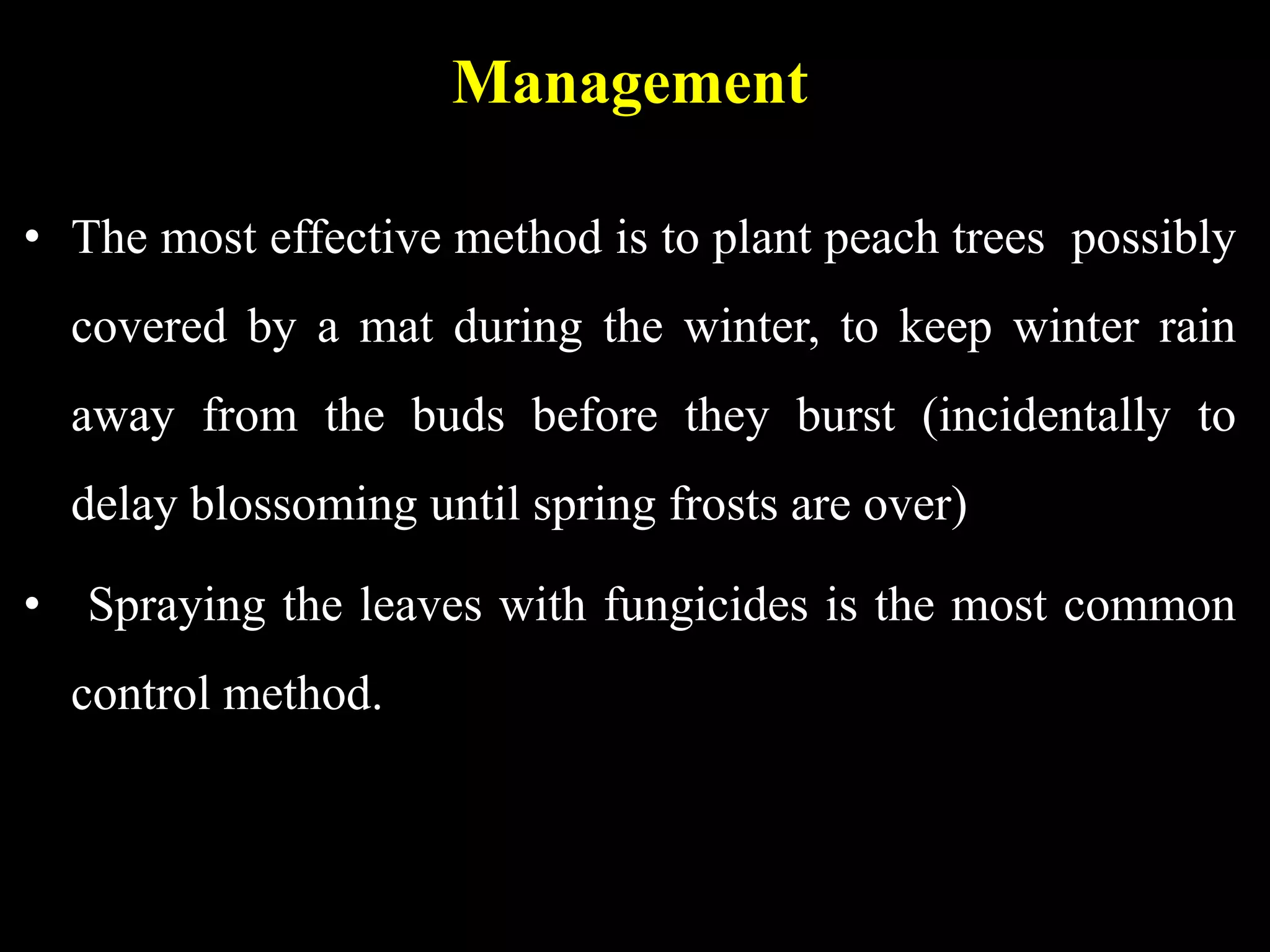 Management
• The most effective method is to plant peach trees possibly
covered by a mat during the winter, to keep winter rain
away from the buds before they burst (incidentally to
delay blossoming until spring frosts are over)
• Spraying the leaves with fungicides is the most common
control method.
 