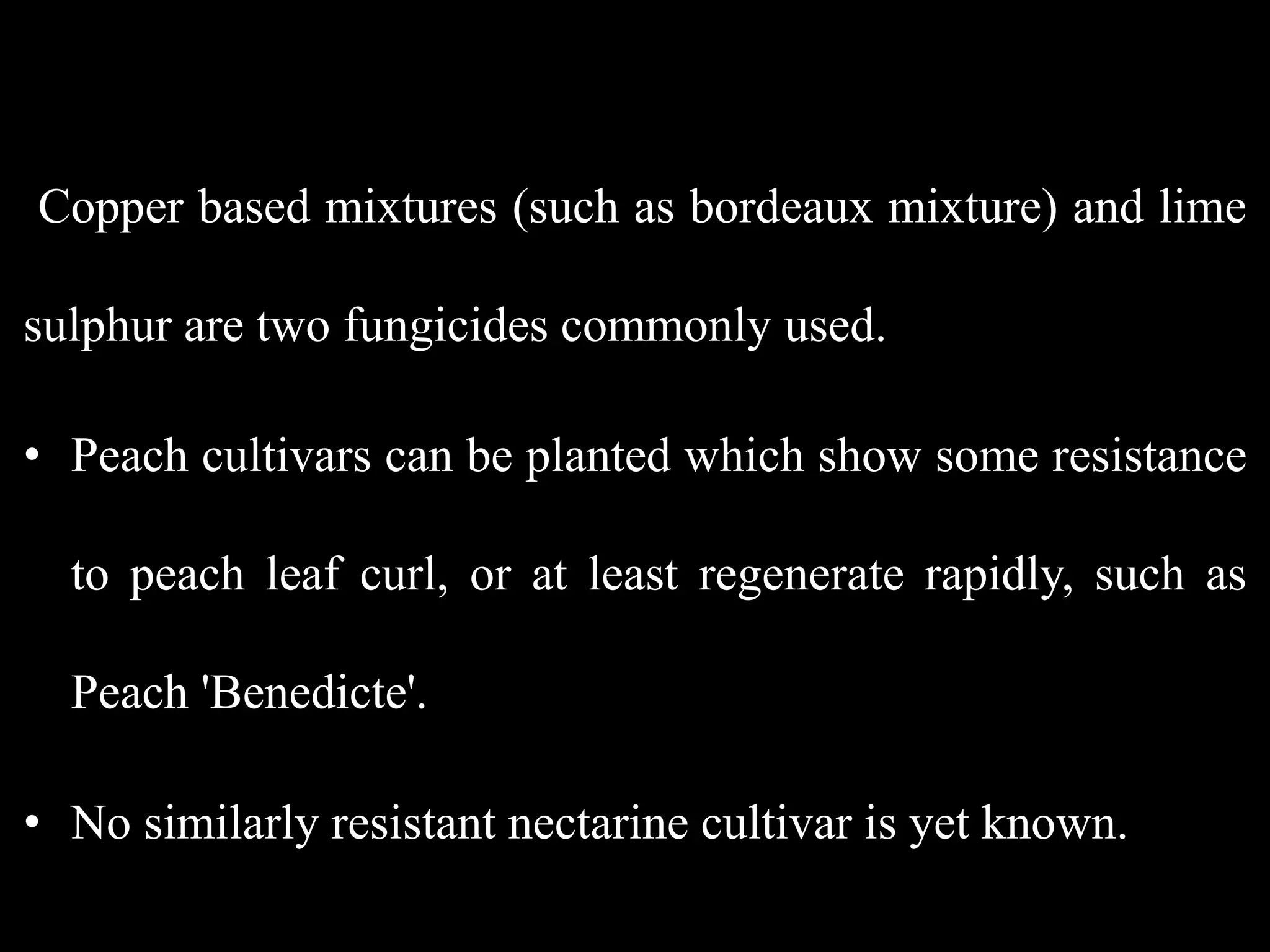 Copper based mixtures (such as bordeaux mixture) and lime
sulphur are two fungicides commonly used.
• Peach cultivars can be planted which show some resistance
to peach leaf curl, or at least regenerate rapidly, such as
Peach 'Benedicte'.
• No similarly resistant nectarine cultivar is yet known.
 