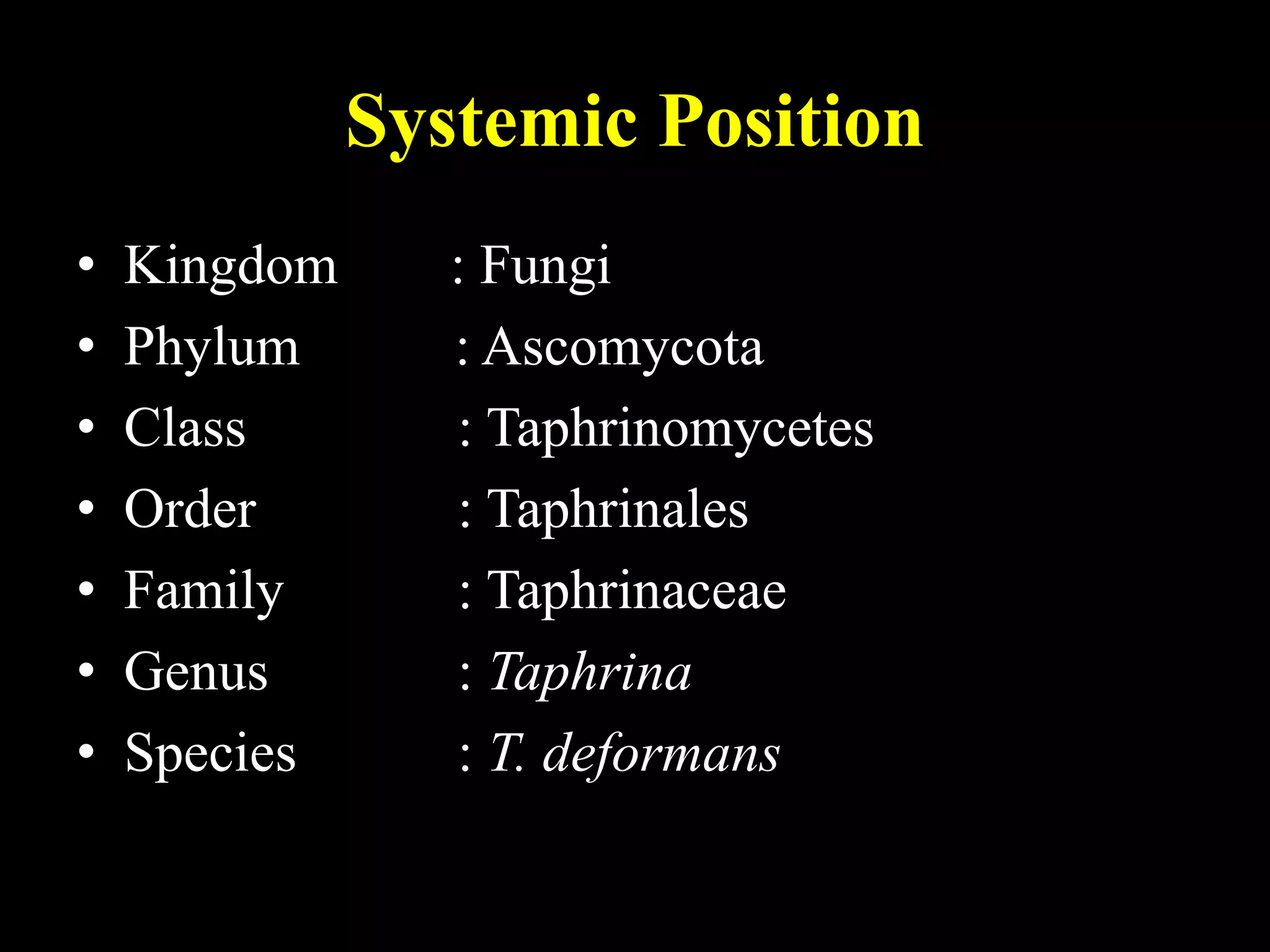 Systemic Position
• Kingdom : Fungi
• Phylum : Ascomycota
• Class : Taphrinomycetes
• Order : Taphrinales
• Family : Taphrinaceae
• Genus : Taphrina
• Species : T. deformans
 