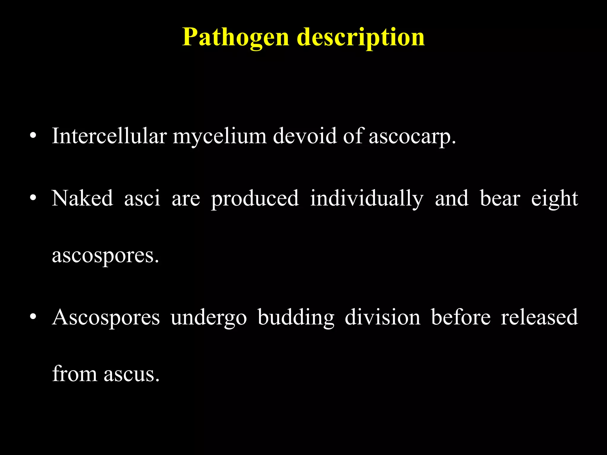 Pathogen description
• Intercellular mycelium devoid of ascocarp.
• Naked asci are produced individually and bear eight
ascospores.
• Ascospores undergo budding division before released
from ascus.
 
