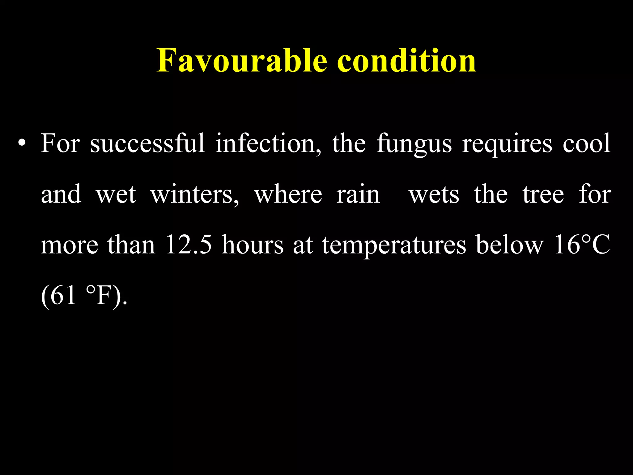 Favourable condition
• For successful infection, the fungus requires cool
and wet winters, where rain wets the tree for
more than 12.5 hours at temperatures below 16°C
(61 °F).
 