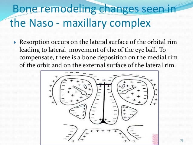 pre natal & post-natal growth of maxilla & palate