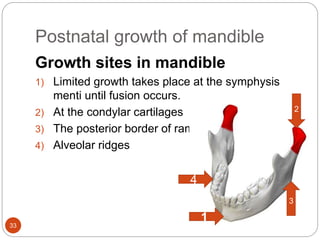 Postnatal Border prenatal and post natal growth of mandible | PPTX