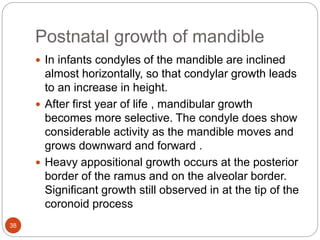 Postnatal Border prenatal and post natal growth of mandible | PPTX