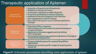 Therapeutic application of Aptamer:
Figure5: Schematic presentation describing some applications of aptamer.
 