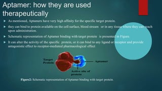 Aptamer: how they are used
therapeutically
 As mentioned, Aptamers have very high affinity for the specific target protein.
 they can bind to protein available on the cell surface, blood stream or in any tissue where they can reach
upon administration.
 Schematic representation of Aptamer binding with target protein is presented in Figure.
 It can alter the activity of the specific protein, or it can bind to any ligand or receptor and provide
antagonistic effect to receptor-mediated pharmacological effect
Figure2: Schematic representation of Aptamer binding with target protein.
 