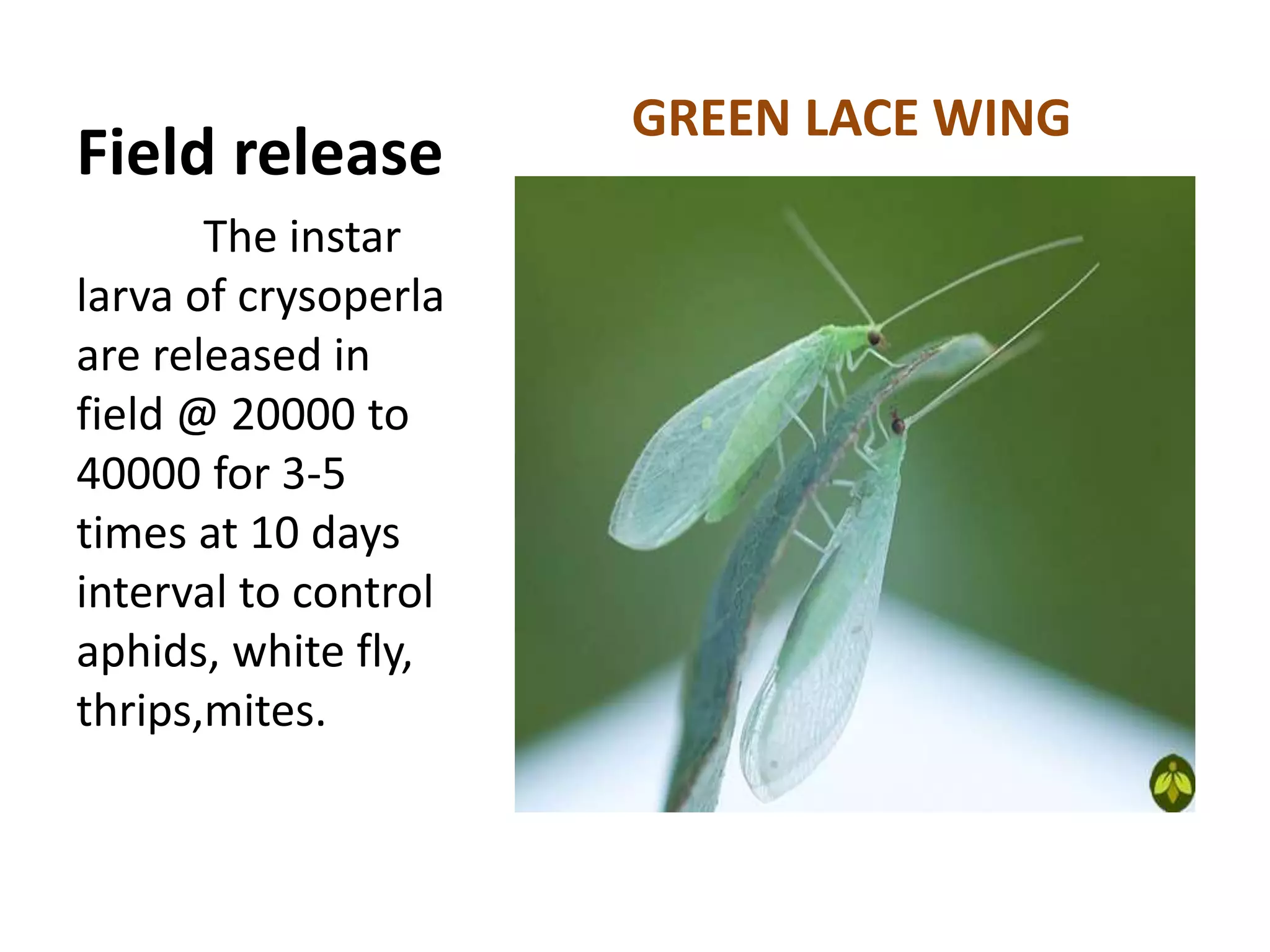 biological control through parasites and parasitoids in organic farming ...