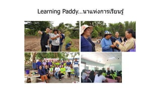 Learning Paddy…นาแห่งการเรียนรู้
 
