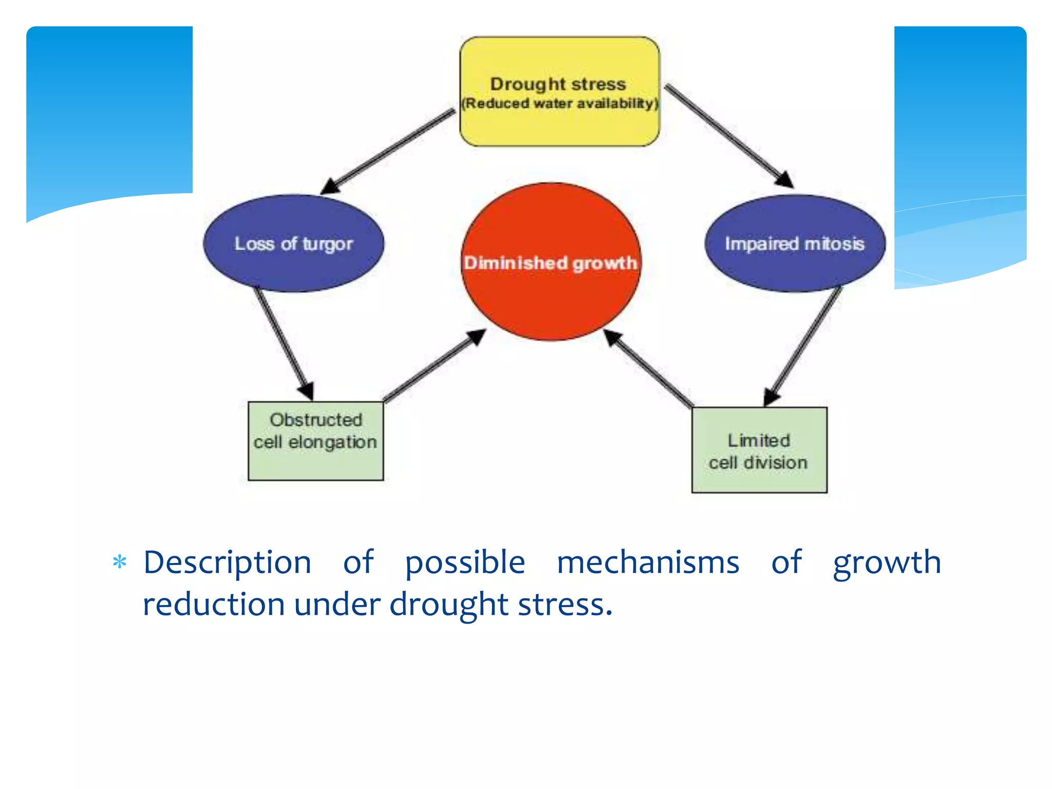plant drought effects, mechanisms and management | PPTX