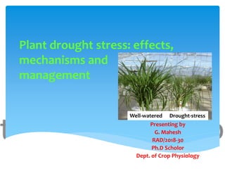Plant drought stress: effects,
mechanisms and
management
Presenting by
G. Mahesh
RAD/2018-30
Ph.D Scholor
Dept. of Crop Physiology
Well-watered Drought-stress
 