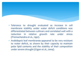 plant drought effects, mechanisms and management | PPTX