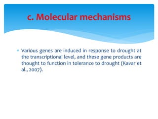plant drought effects, mechanisms and management | PPTX