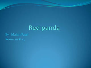 By : Mahin Patel
Room 211 # 23
 