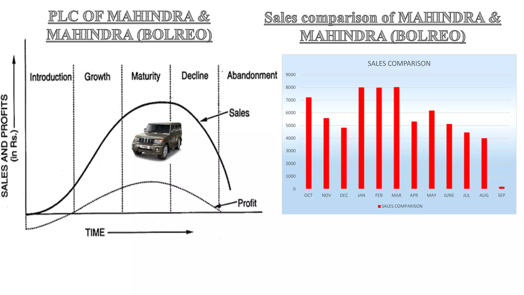 0
1000
2000
3000
4000
5000
6000
7000
8000
9000
OCT NOV DEC JAN FEB MAR APR MAY JUNE JUL AUG SEP
SALES COMPARISON
SALES COMPARISON
 