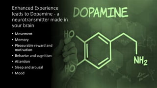 Enhanced Experience
leads to Dopamine - a
neurotransmitter made in
your brain
• Movement
• Memory
• Pleasurable reward and...