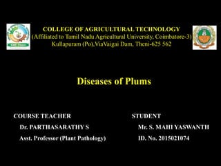 Diseases of Plums
COLLEGE OF AGRICULTURAL TECHNOLOGY
(Affiliated to Tamil Nadu Agricultural University, Coimbatore-3)
Kullapuram (Po),ViaVaigai Dam, Theni-625 562
COURSE TEACHER
Dr. PARTHASARATHY S
Asst. Professor (Plant Pathology)
STUDENT
Mr. S. MAHI YASWANTH
ID. No. 2015021074
 