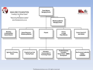 TheNeweconomy.co.za. All rights reserved.
 