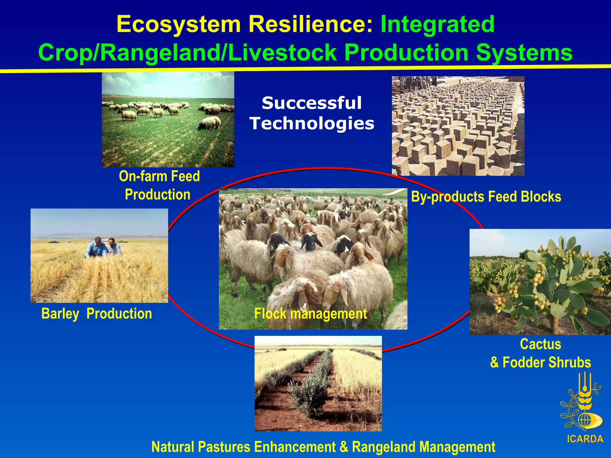 Ecosystem Resilience:  Integrated Crop/Rangeland/Livestock Production Systems Barley  Production Cactus & Fodder Shrubs By-products Feed Blocks On-farm Feed Production   Natural Pastures Enhancement & Rangeland Management Successful Technologies Flock management 