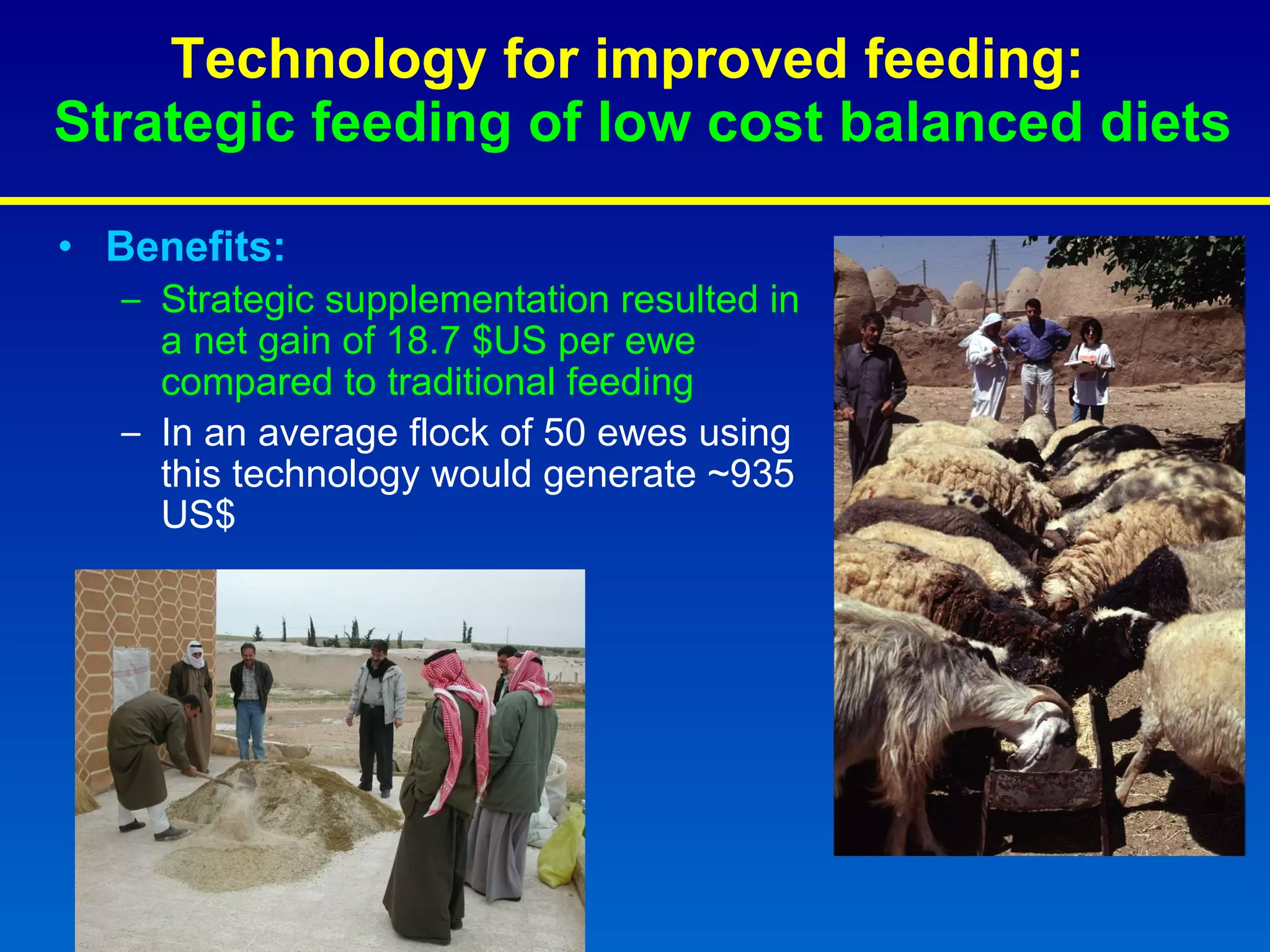Benefits: Strategic supplementation resulted in a net gain of 18.7 $US per ewe compared to traditional feeding  In an average flock of 50 ewes using this technology would generate ~935 US$ Technology for improved feeding:   Strategic feeding of low cost balanced diets 
