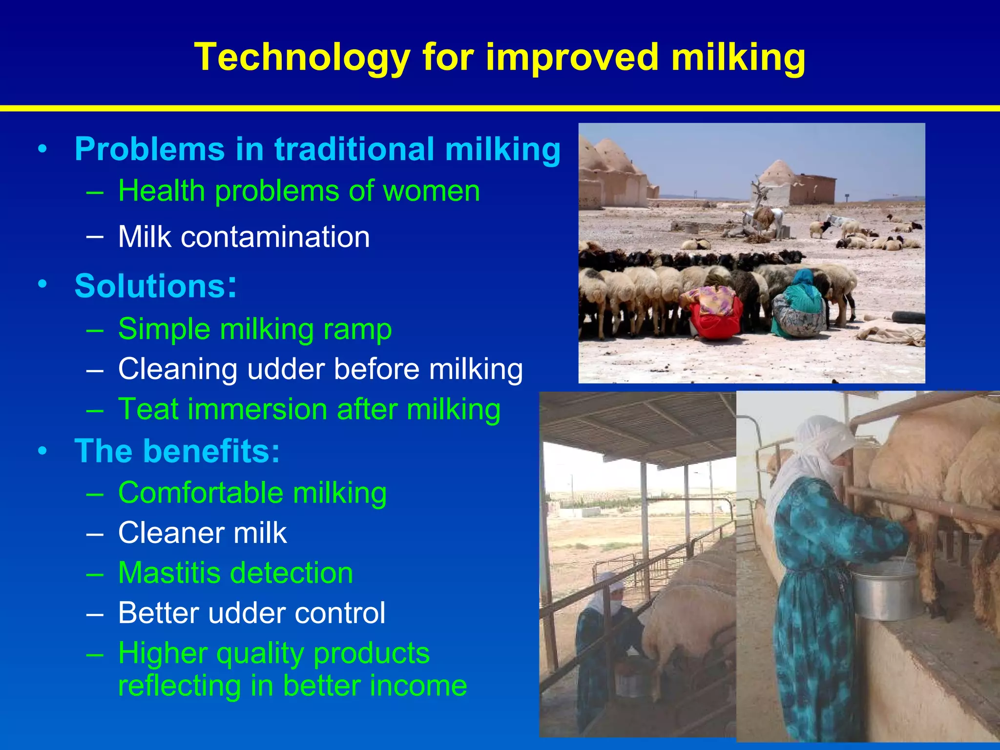Technology for improved milking Problems in traditional milking Health problems of women Milk contamination   Solutions : Simple milking ramp   Cleaning udder before milking Teat immersion after milking The benefits:   Comfortable milking Cleaner milk Mastitis detection Better udder control Higher quality products  reflecting in better income 