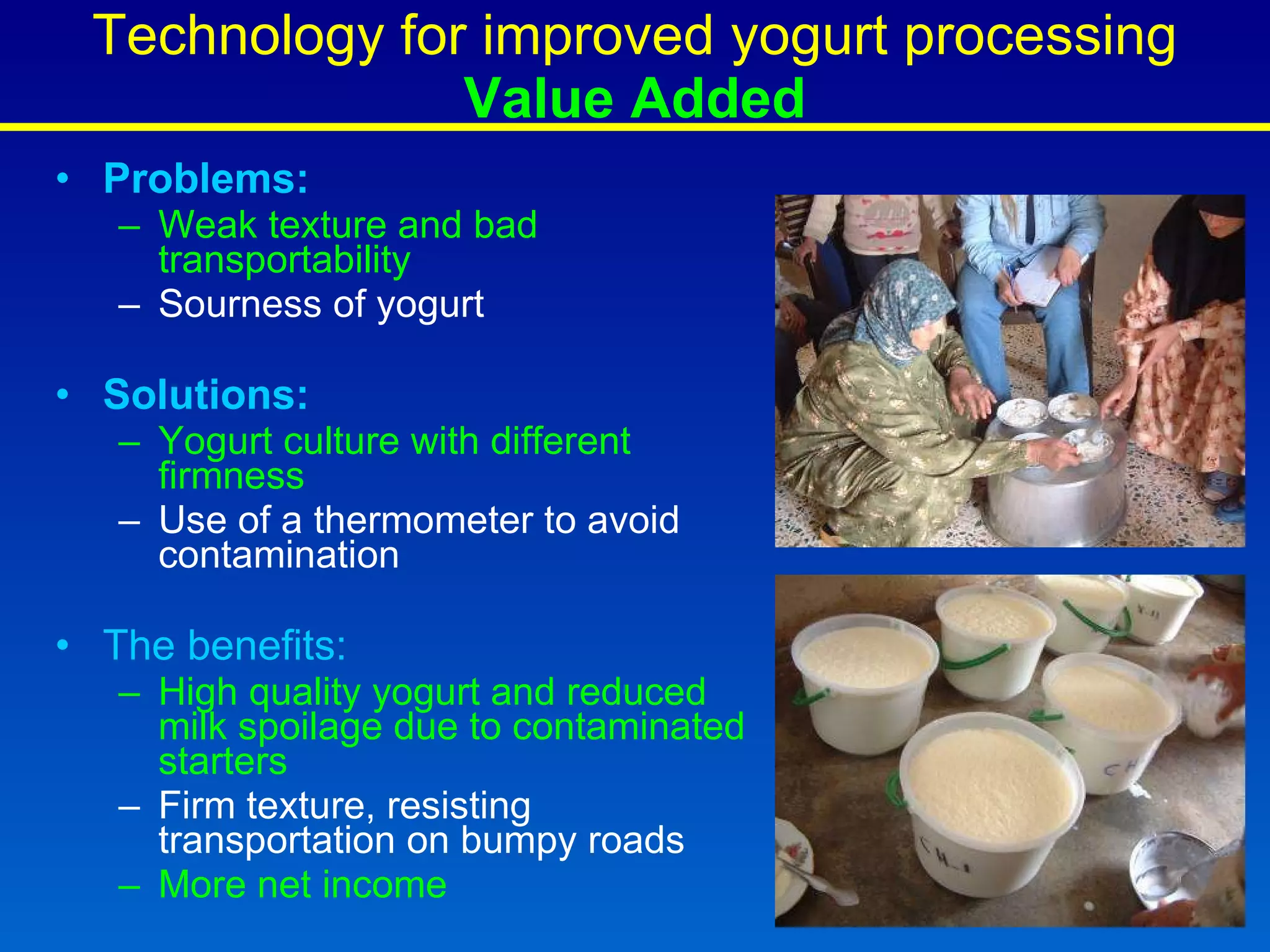 Technology for improved yogurt processing  Value Added Problems: Weak texture and bad transportability Sourness of yogurt  Solutions: Yogurt culture with different firmness Use of a thermometer to avoid contamination The benefits: High quality yogurt and reduced milk spoilage due to contaminated starters Firm texture, resisting transportation on bumpy roads More net income 