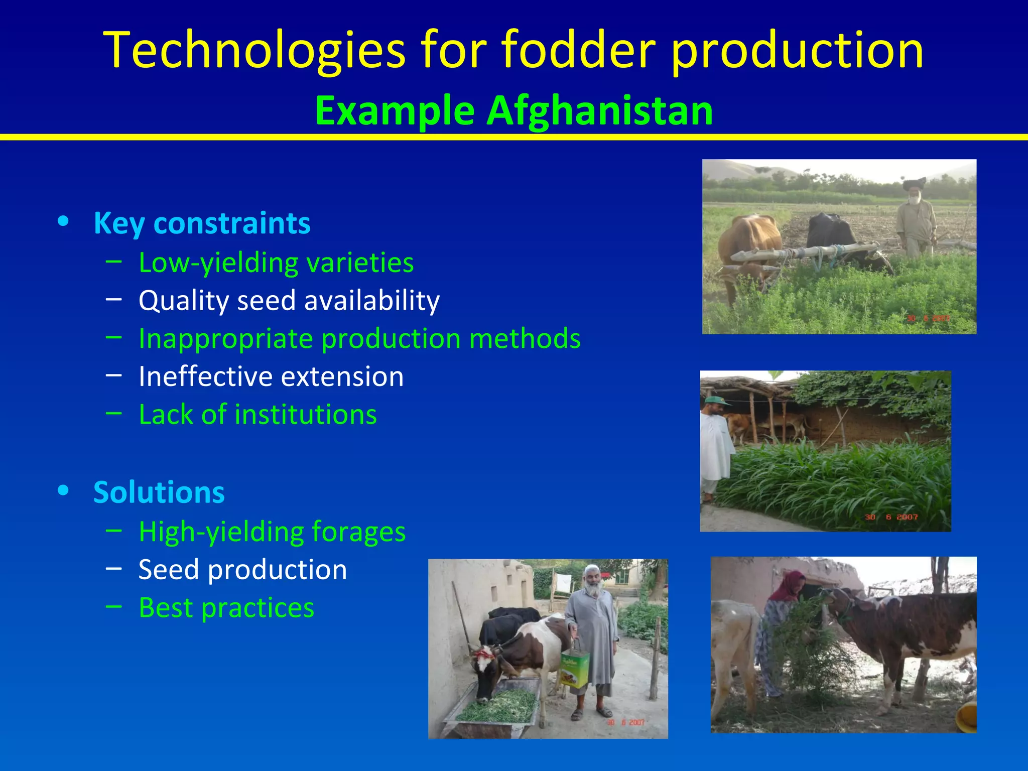 Key constraints Low-yielding varieties Quality seed availability Inappropriate production methods Ineffective extension Lack of institutions  Solutions High-yielding forages Seed production Best practices Technologies for fodder production Example Afghanistan 