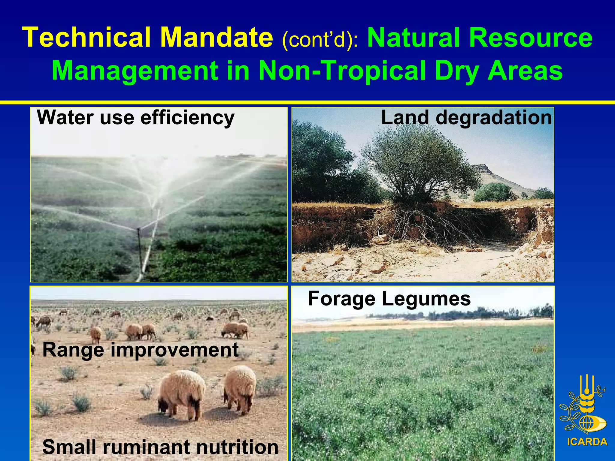 Technical Mandate  (cont’d):   Natural Resource Management in Non-Tropical Dry Areas Range improvement Forage Legumes Water use efficiency Land degradation Small ruminant nutrition 