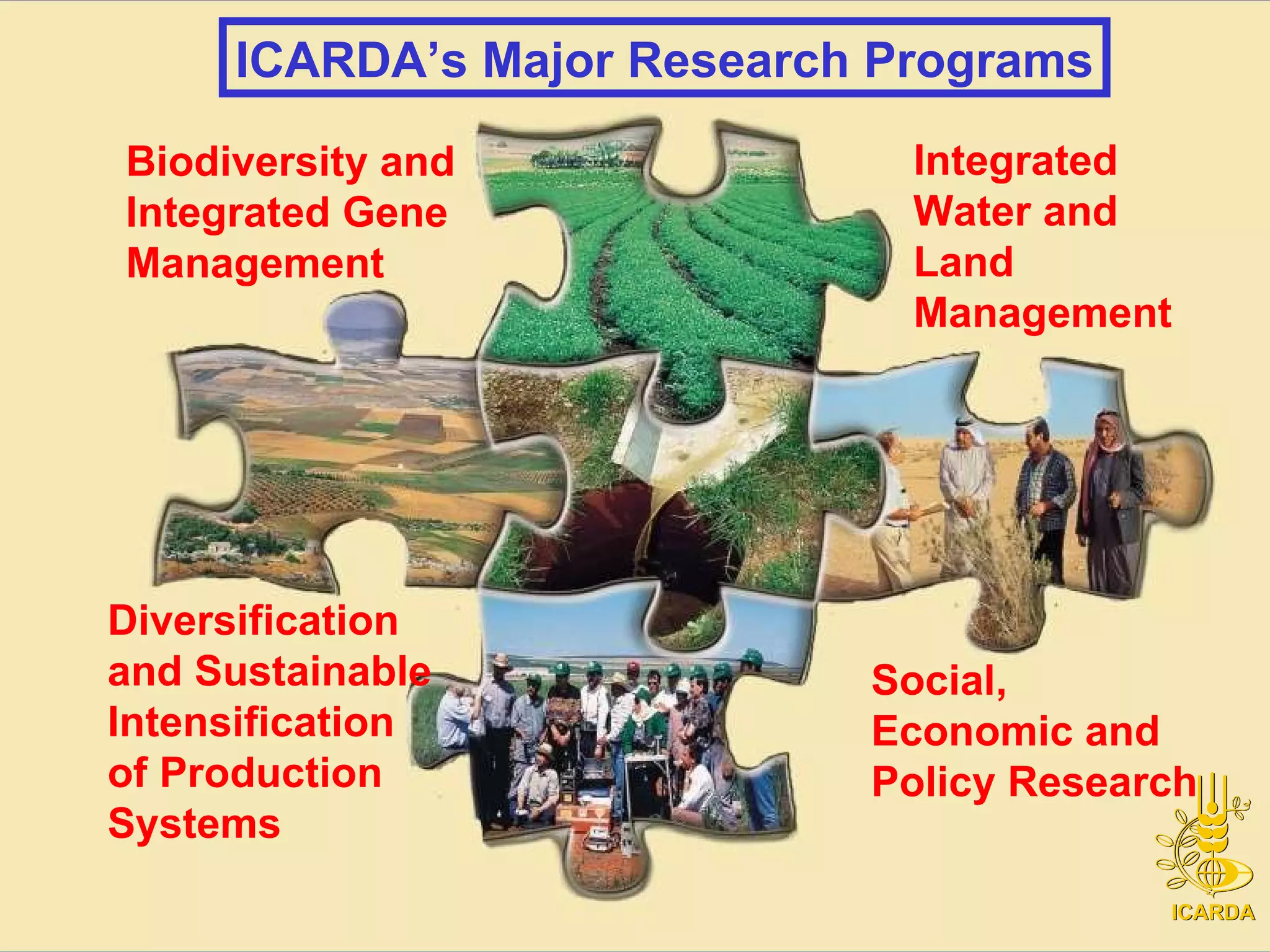 ICARDA’s Major Research Programs Biodiversity and Integrated Gene Management Integrated Water and Land Management Diversification and Sustainable Intensification of Production Systems Social, Economic and Policy Research 