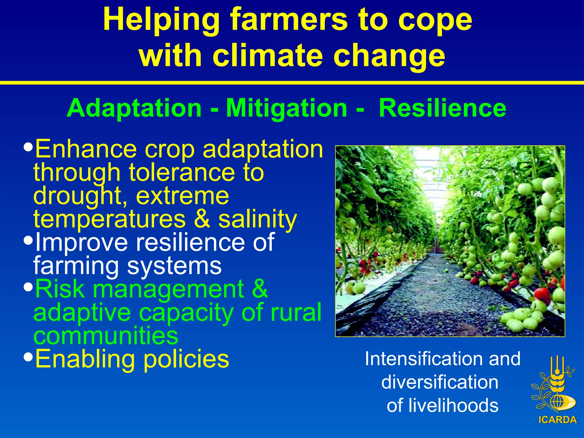 Helping farmers to cope  with climate change Intensification and diversification  of livelihoods Enhance crop adaptation through tolerance to drought, extreme temperatures & salinity Improve resilience of farming systems Risk management &  adaptive capacity of rural communities Enabling policies Adaptation -   Mitigation -  Resilience 
