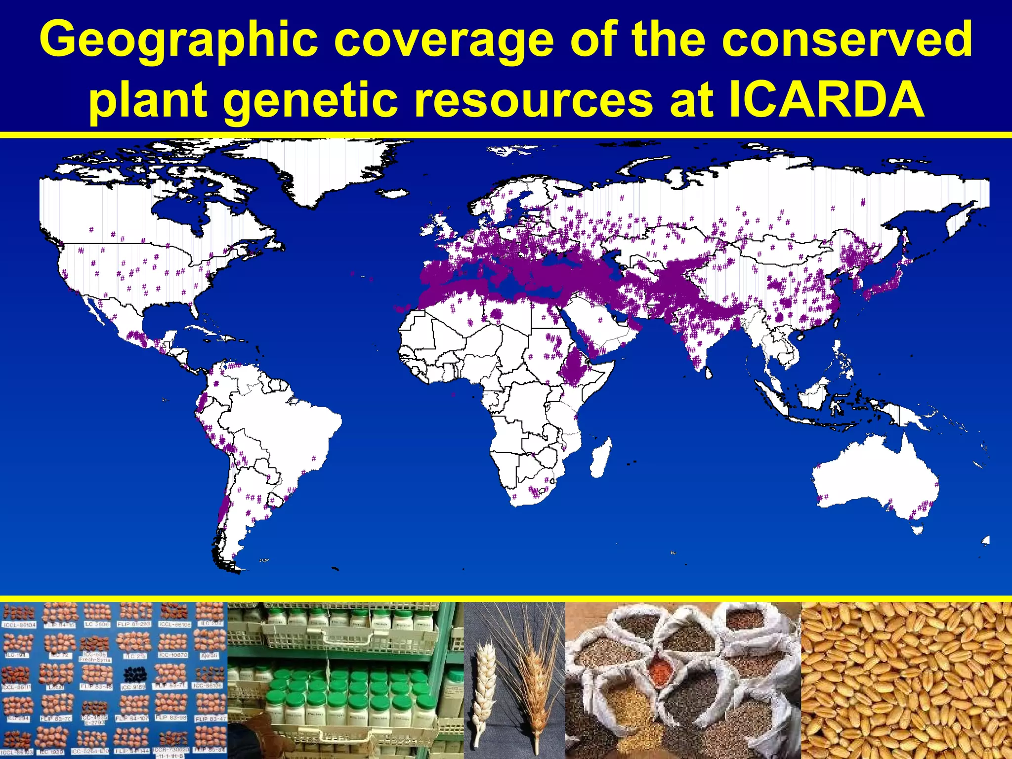 Geographic coverage of the conserved plant genetic resources at ICARDA 