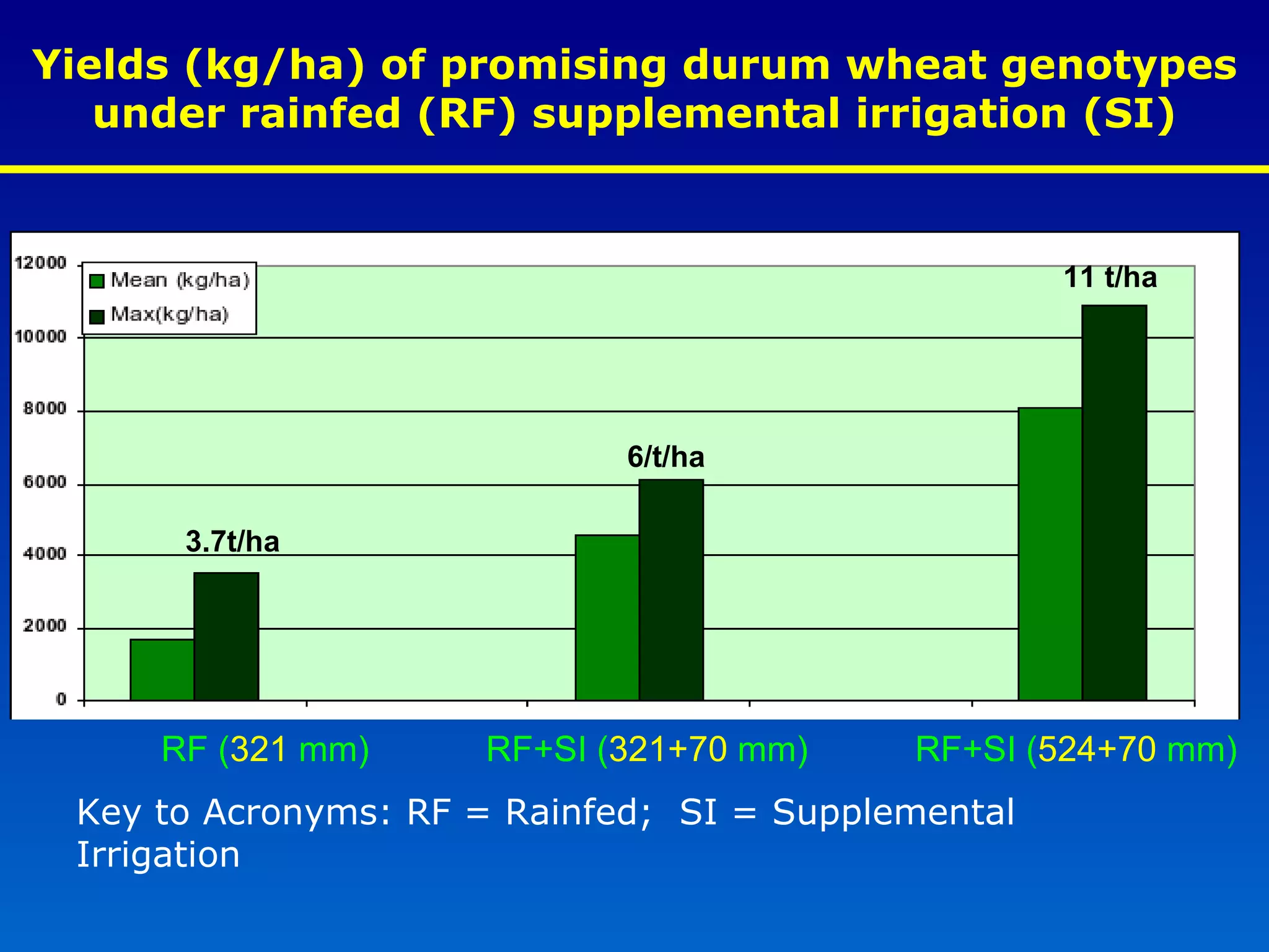 Yields (kg/ha) of promising durum wheat genotypes under rainfed (RF) supplemental irrigation (SI) Key to Acronyms: RF = Rainfed;  SI = Supplemental Irrigation RF ( 321  mm)  RF+SI ( 321+70  mm)  RF+SI ( 524+70  mm) 11 t/ha 6/t/ha 3.7t/ha 